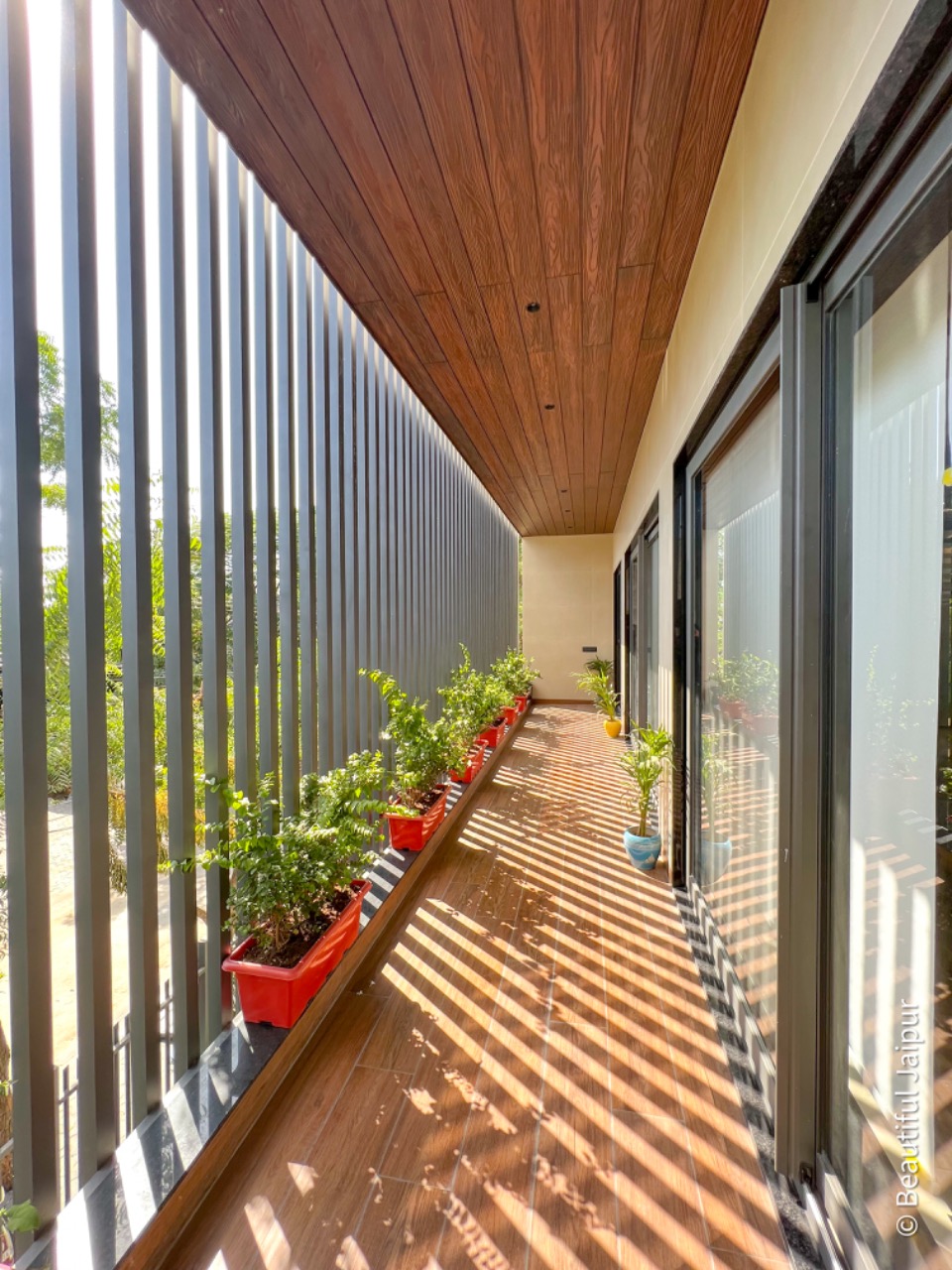 Sunny terrace with plants and wooden ceiling